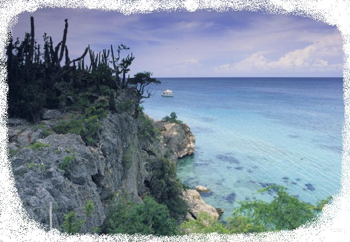 vista de la costa de Jaragua / view of Jaragua's coast