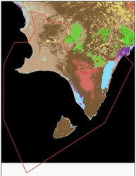 mapa de la vegetaci�n de Jaragua / Jaragua's vegetation map
