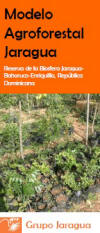 agroforesteria folleto
