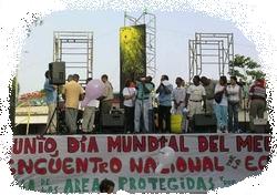 concierto pro-defensa AAPP/ concert for defense of PAs