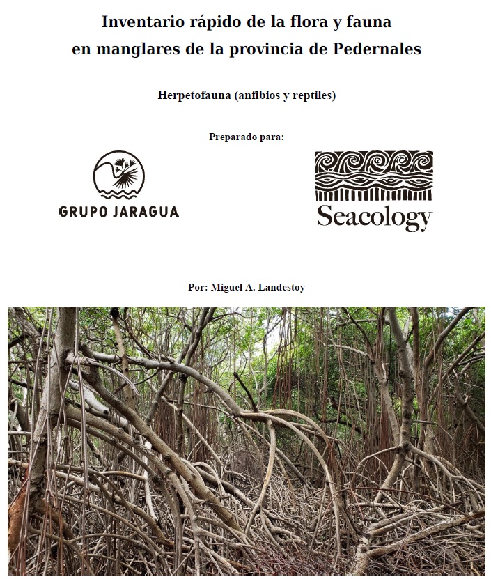 Portada_Landestoy2023_HerpetofaunaManglares